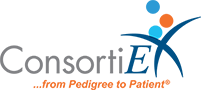 ConsortiEX_2_logo